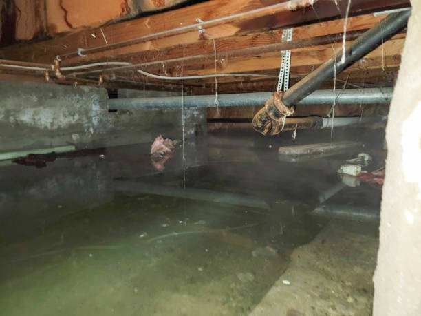 Water damage restoration insurance claims in LA