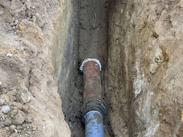 Best Basement water damage restoration  in Sorrento, LA