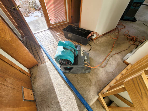 Best Water damage restoration mold remediation  in Sorrento, LA
