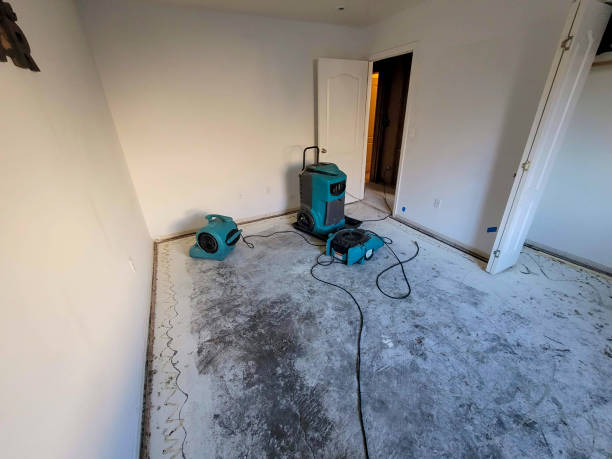 Best Emergency water extraction  in Sorrento, LA