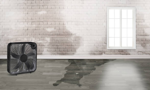Best Residential water damage restoration  in Sorrento, LA