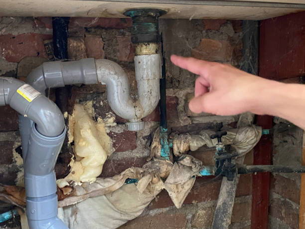 Water damage restoration mold remediation in LA