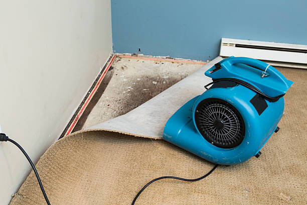 Best Water damage restoration insurance claims  in Sorrento, LA